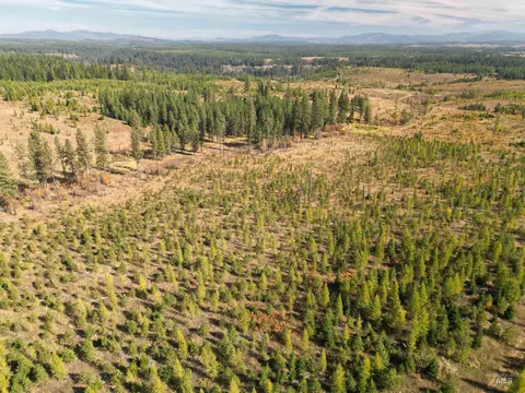 0 Timberline Heights Parcel 2, Weippe, ID 83553 photo 2