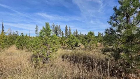 0 Timberline Heights Parcel 2, Weippe, ID 83553 photo 11