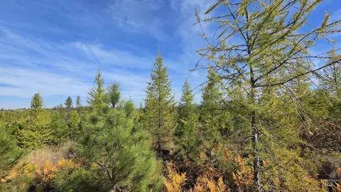 0 Timberline Heights Parcel 2, Weippe, ID 83553 photo 17