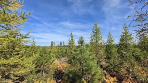 0 Timberline Heights Parcel 2, Weippe, ID 83553 photo 14