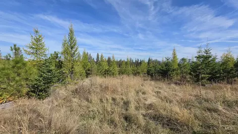 0 Timberline Heights Parcel 2, Weippe, ID 83553 photo 4