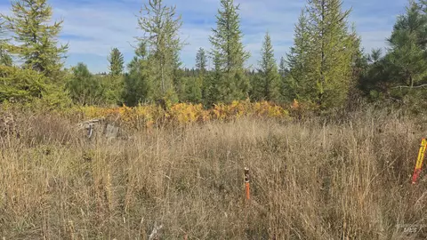 0 Timberline Heights Parcel 2, Weippe, ID 83553 photo 5