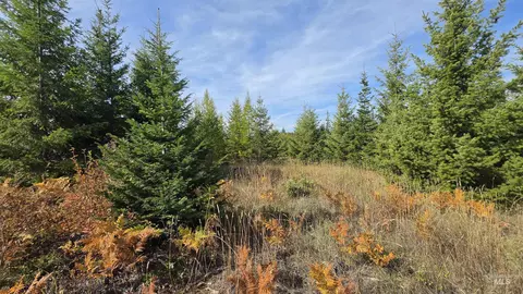0 Timberline Heights Parcel 4, Weippe, ID 83553 photo 6