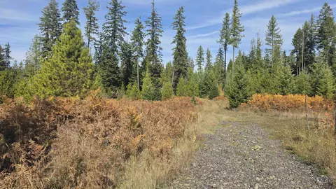 0 Timberline Heights Parcel 4, Weippe, ID 83553 photo 2
