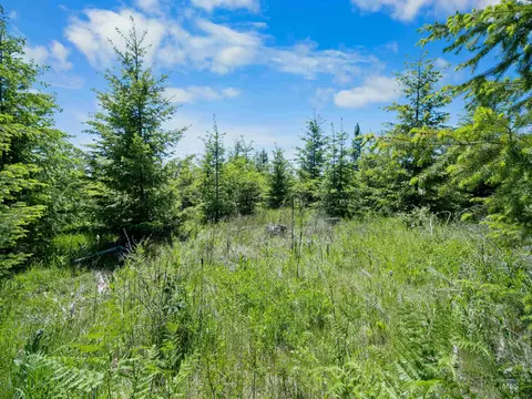 0 Timberline Heights Parcel 4, Weippe, ID 83553 photo 25