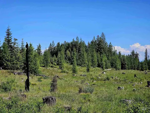0 Timberline Heights Parcel 4, Weippe, ID 83553 photo 15