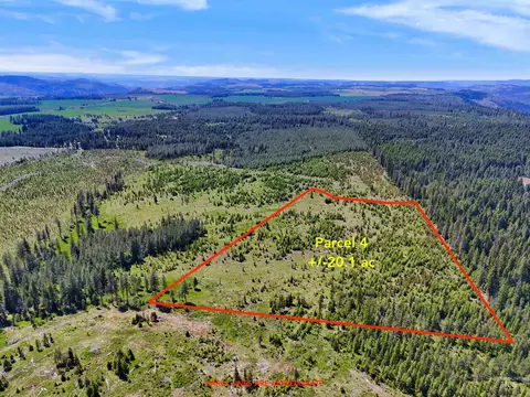 0 Timberline Heights Parcel 4, Weippe, ID 83553 photo 4