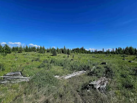 0 Timberline Heights Parcel 4, Weippe, ID 83553 photo 14