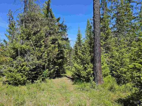0 Timberline Heights Parcel 4, Weippe, ID 83553 photo 13