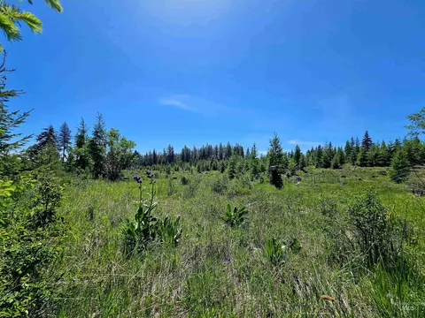 0 Timberline Heights Parcel 4, Weippe, ID 83553 photo 11