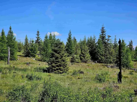 0 Timberline Heights Parcel 4, Weippe, ID 83553 photo 16