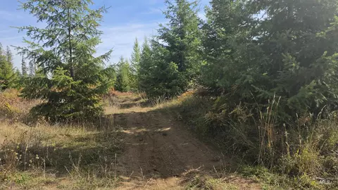 0 Timberline Heights Parcel 4, Weippe, ID 83553 photo 8