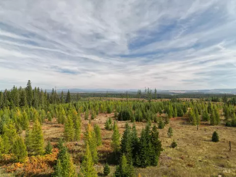 0 Timberline Heights Parcel 4, Weippe, ID 83553 photo 19