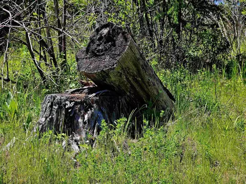 0 Timberline Heights Parcel 4, Weippe, ID 83553 photo 18