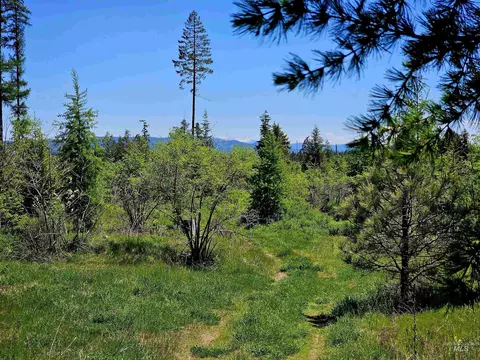 0 Timberline Heights Parcel 4, Weippe, ID 83553 photo 10
