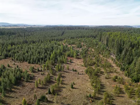 0 Timberline Heights Parcel 5, Weippe, ID 83553 photo 11