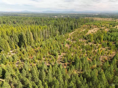 0 Timberline Heights Parcel 5, Weippe, ID 83553 photo 23