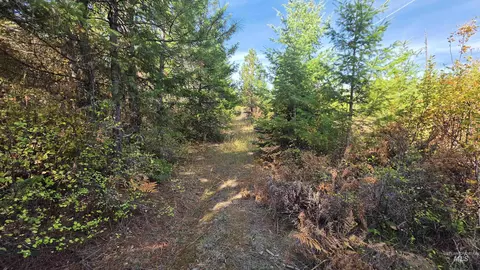 0 Timberline Heights Parcel 5, Weippe, ID 83553 photo 22