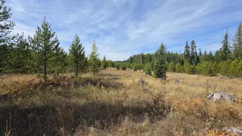0 Timberline Heights Parcel 5, Weippe, ID 83553 photo 12