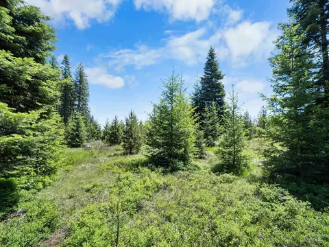 0 Timberline Heights Parcel 6, Weippe, ID 83553 photo 16