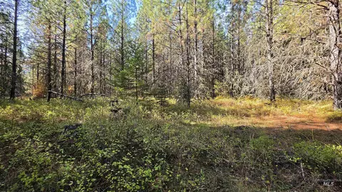 0 Timberline Heights Parcel 6, Weippe, ID 83553 photo 3