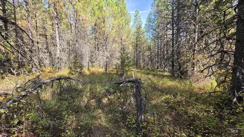 0 Timberline Heights Parcel 6, Weippe, ID 83553 photo 20