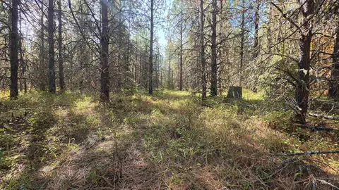 0 Timberline Heights Parcel 6, Weippe, ID 83553 photo 22