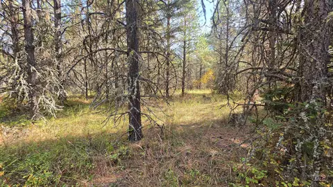 0 Timberline Heights Parcel 6, Weippe, ID 83553 photo 7