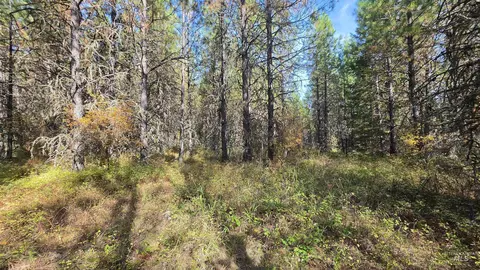 0 Timberline Heights Parcel 6, Weippe, ID 83553 photo 8