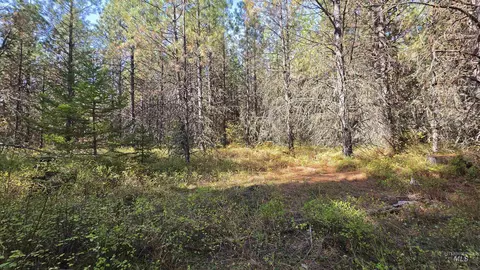 0 Timberline Heights Parcel 6, Weippe, ID 83553 photo 9
