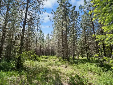 0 Timberline Heights Parcel 6, Weippe, ID 83553 photo 12