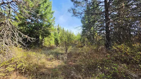 0 Timberline Heights Parcel 6, Weippe, ID 83553 photo 6