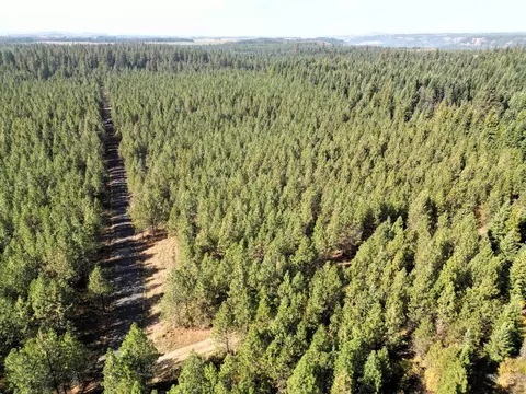 0 Timberline Heights Parcel 6, Weippe, ID 83553 photo 23