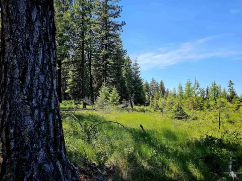 0 Timberline Heights Parcel 8, Weippe, ID 83553 photo 13