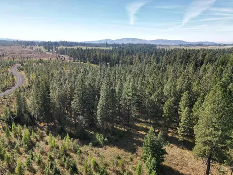 0 Timberline Heights Parcel 8, Weippe, ID 83553 photo 30