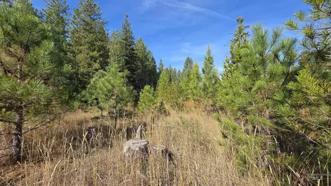 0 Timberline Heights Parcel 8, Weippe, ID 83553 photo 9