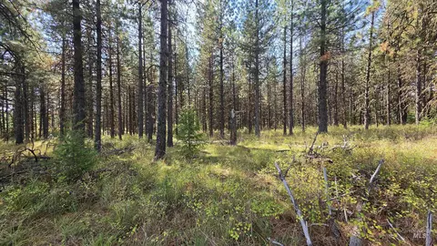 0 Timberline Heights Parcel 8, Weippe, ID 83553 photo 15