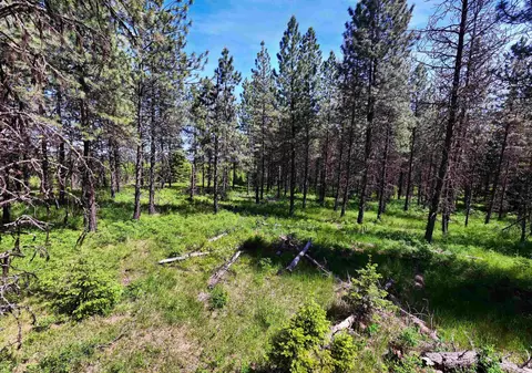 0 Timberline Heights Parcel 8, Weippe, ID 83553 photo 19