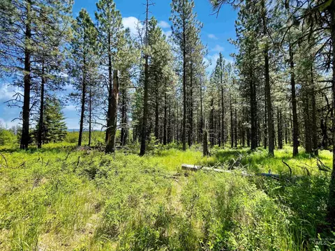 0 Timberline Heights Parcel 8, Weippe, ID 83553 photo 4