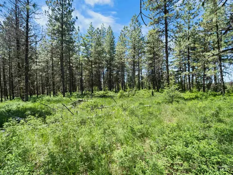 0 Timberline Heights Parcel 8, Weippe, ID 83553 photo 26