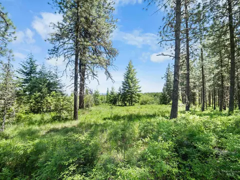 0 Timberline Heights Parcel 8, Weippe, ID 83553 photo 24