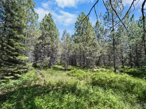 0 Timberline Heights Parcel 8, Weippe, ID 83553 photo 22