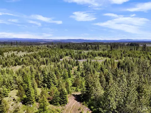 0 Timberline Heights Parcel 8, Weippe, ID 83553 photo 17