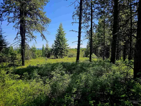 0 Timberline Heights Parcel 8, Weippe, ID 83553 photo 12
