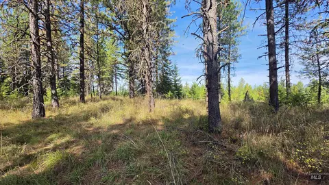 0 Timberline Heights Parcel 8, Weippe, ID 83553 photo 25