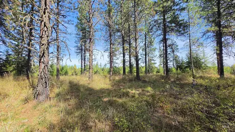 0 Timberline Heights Parcel 8, Weippe, ID 83553 photo 10