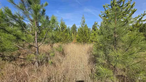0 Timberline Heights Parcel 8, Weippe, ID 83553 photo 5
