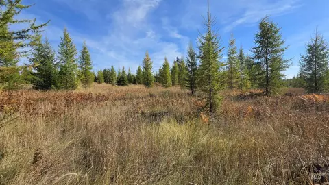 0 Timberline Heights Parcel D, Weippe, ID 83553 photo 7