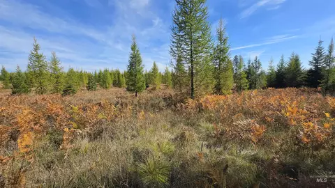 0 Timberline Heights Parcel D, Weippe, ID 83553 photo 9