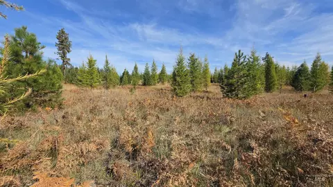0 Timberline Heights Parcel D, Weippe, ID 83553 photo 6